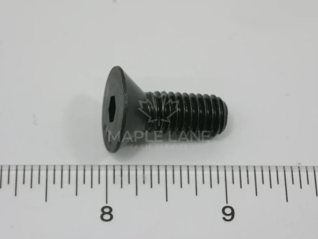 650801 Flat Head Screw