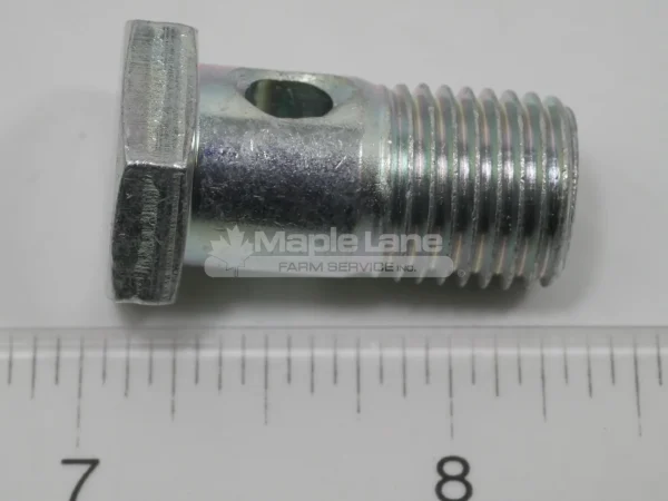 749384 Hollow Screw