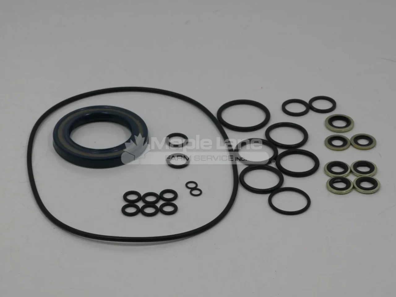 794800 Seal Kit