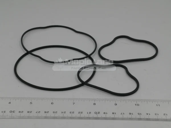 795293 Hydraulic Pump Seal Kit