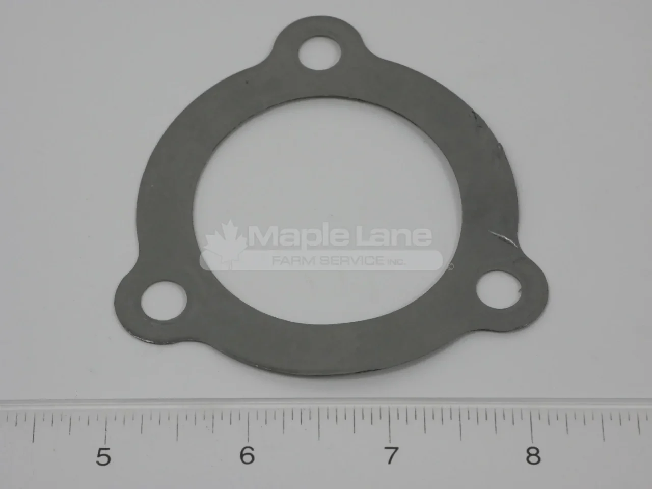 795557 Thermostat Gasket