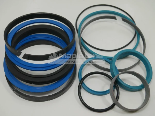 795861 Seal Kit