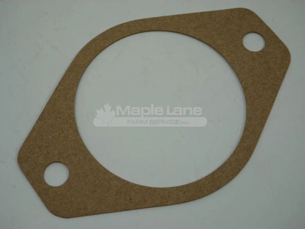 L46865 Hydraulic Pump Gasket