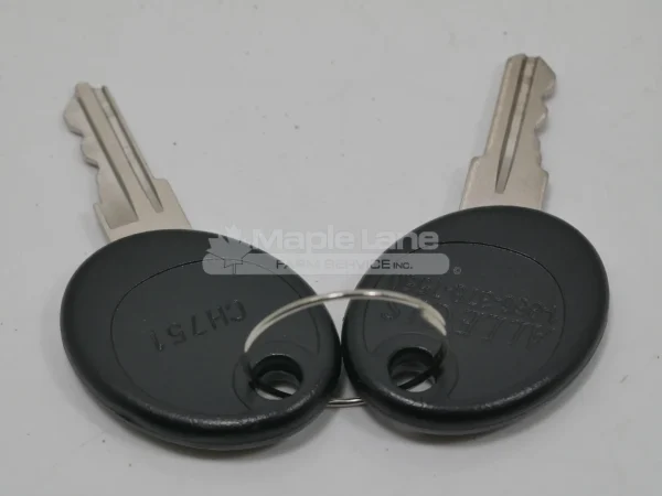 L99157 Cab Key