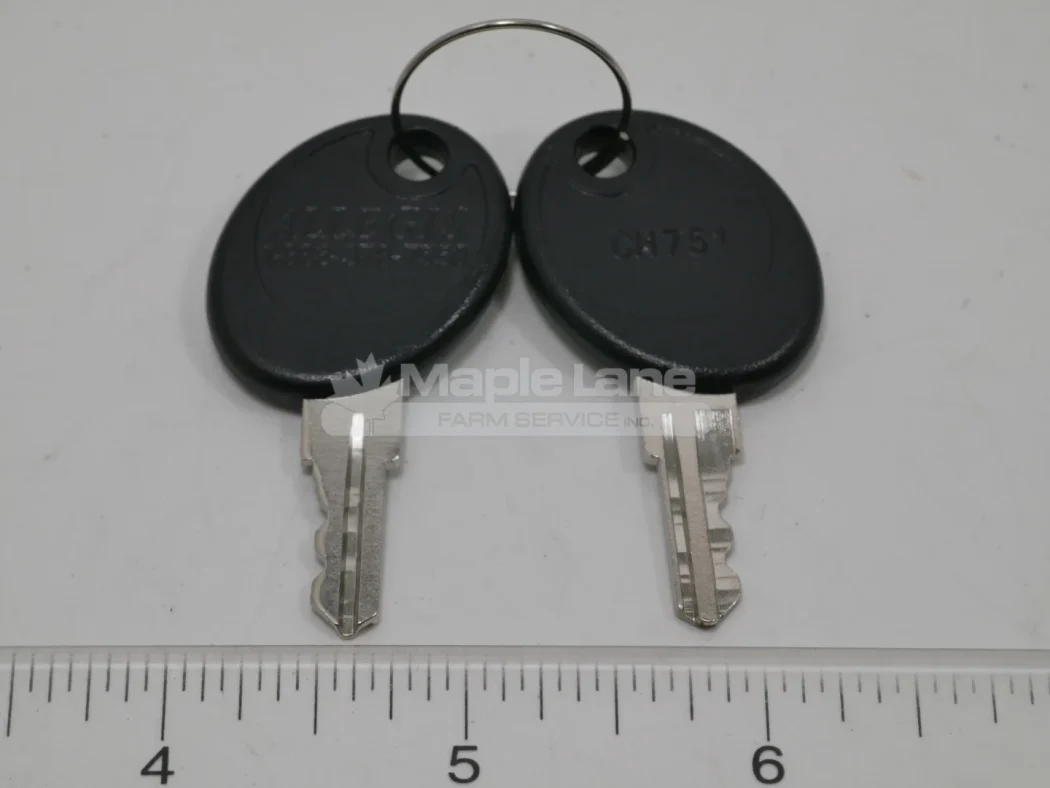 L99157 Cab Key