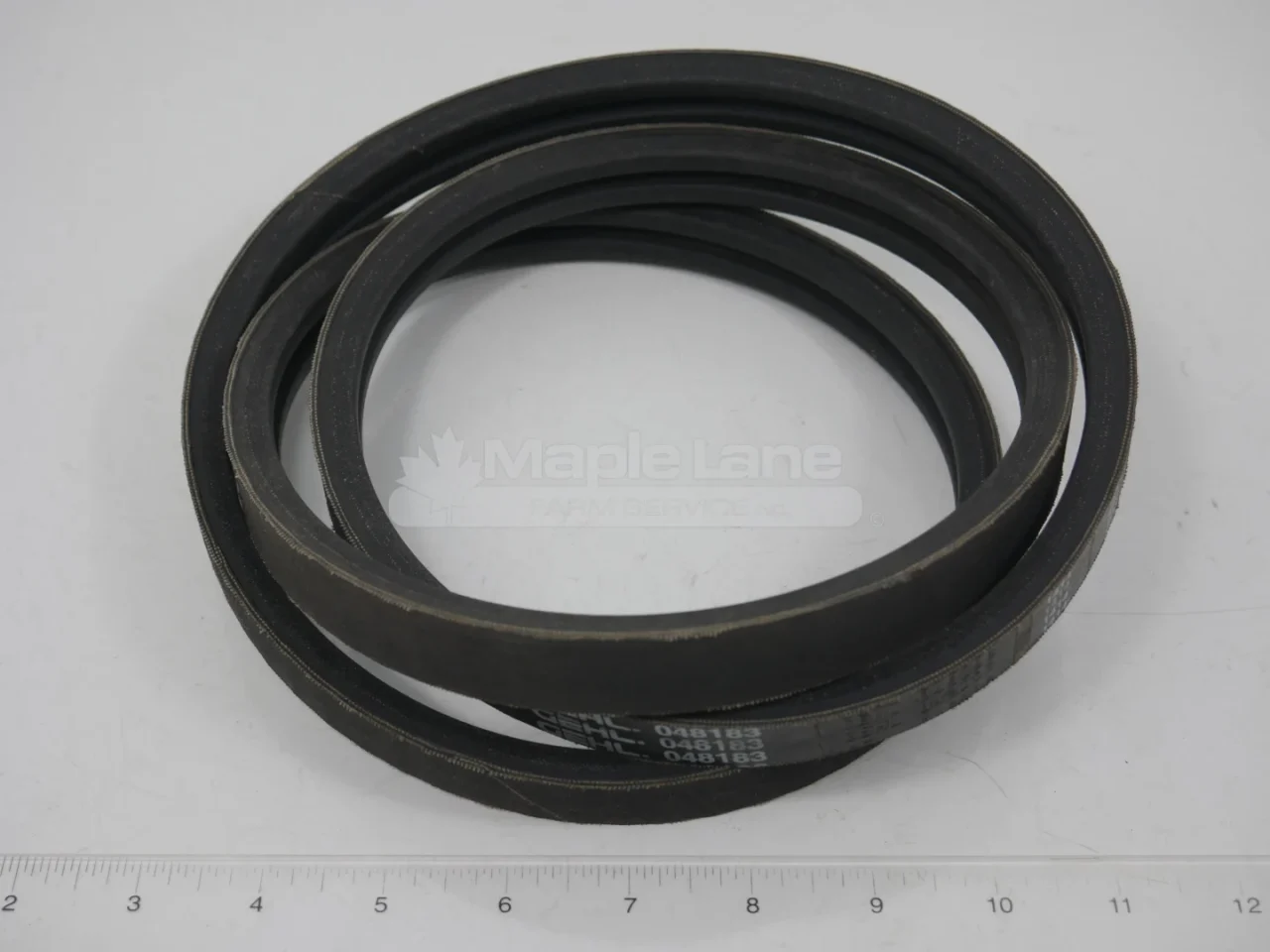 N048183 Belt