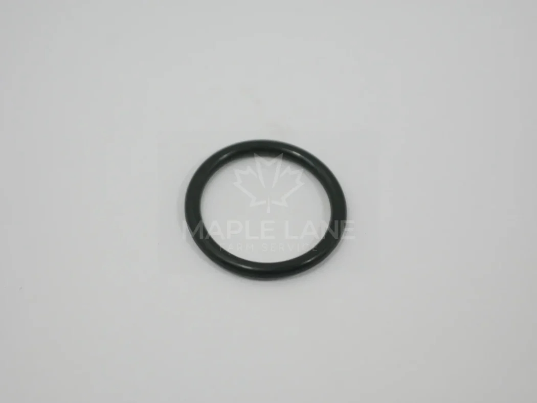 N055898 o-ring