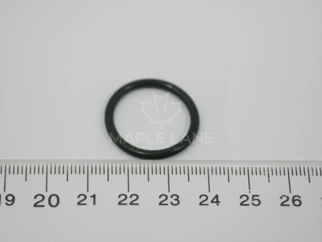 N055898 o-ring