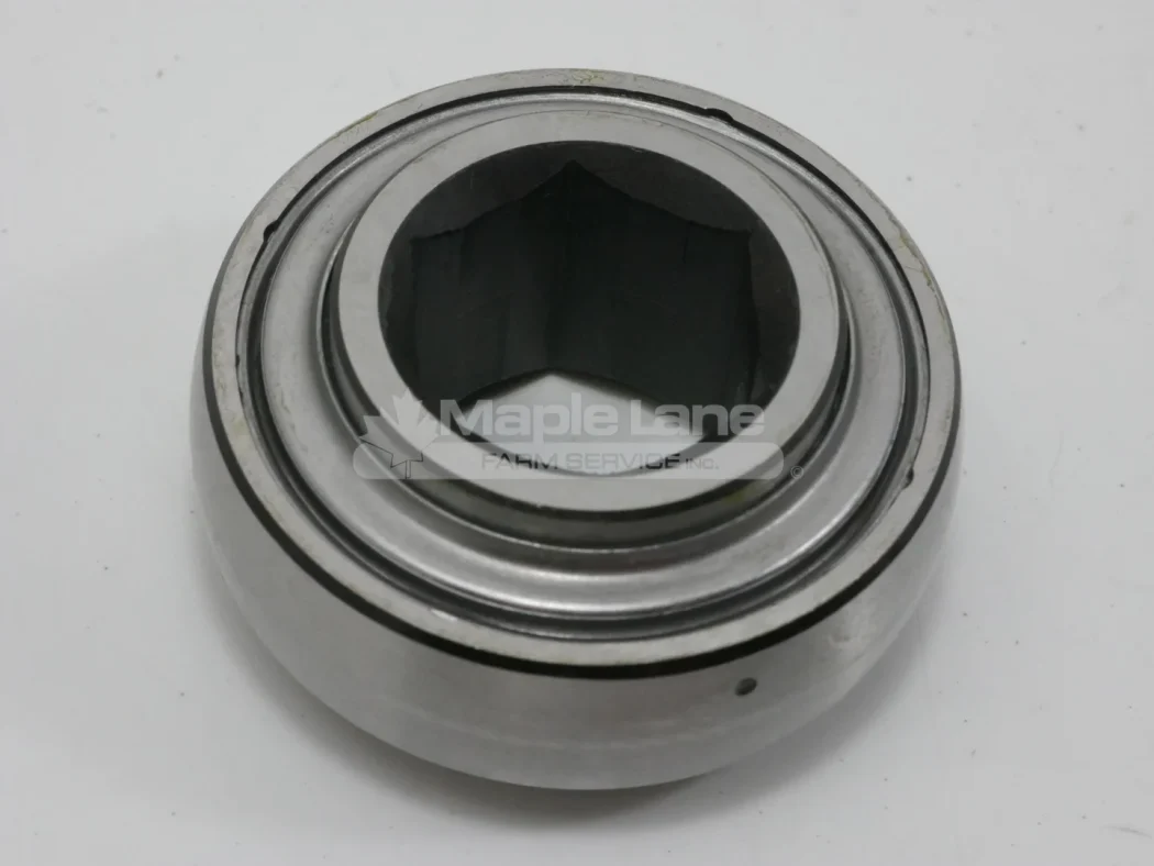 N062261 Hex Bearing