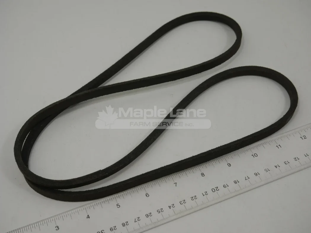 N064095 3L Belt