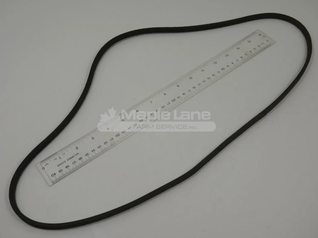 N064095 3L Belt