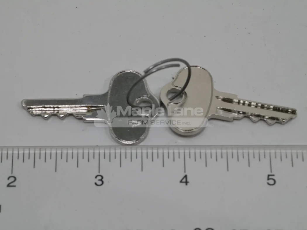 089070 Key/ignition Switch