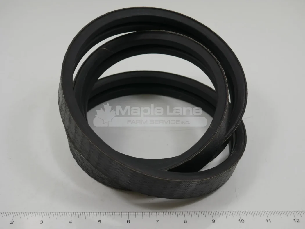 N092531 Powerband Belt