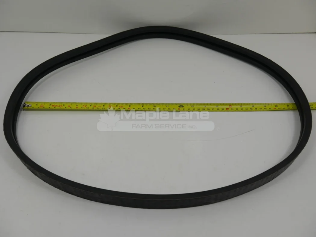 N092531 Powerband Belt