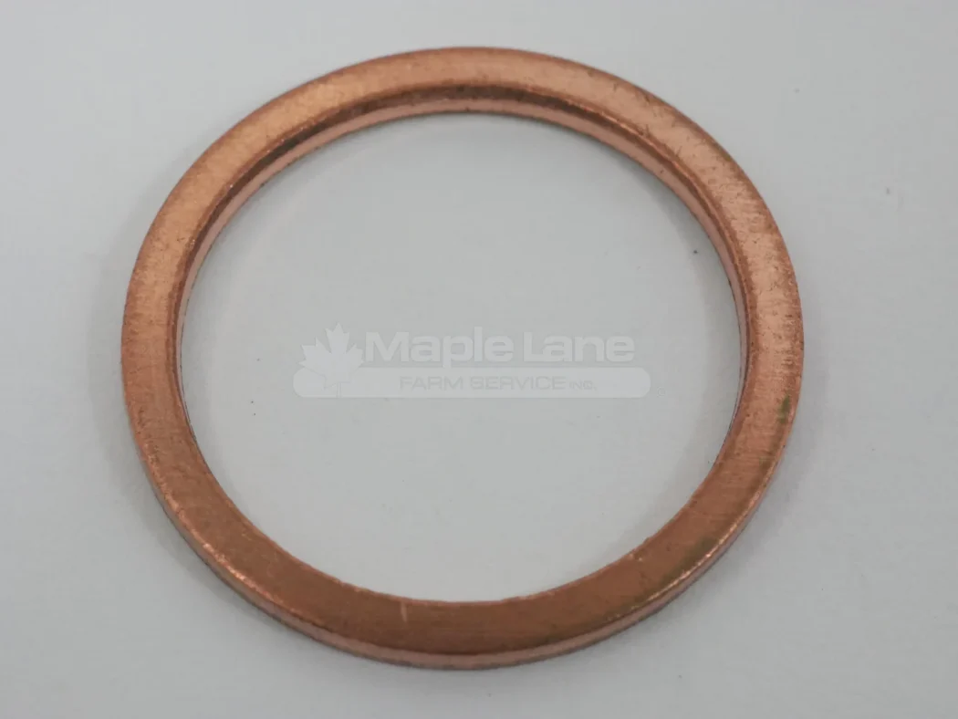 N133135 Sealing Ring