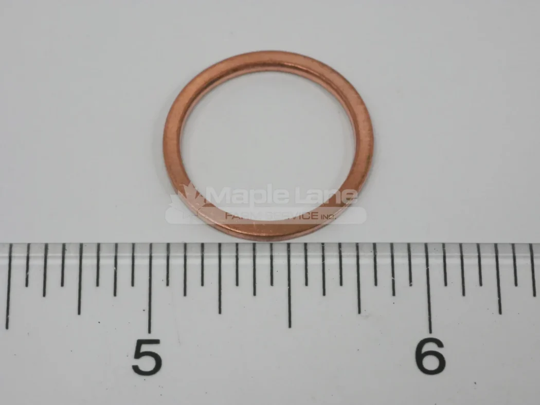 N133135 Sealing Ring