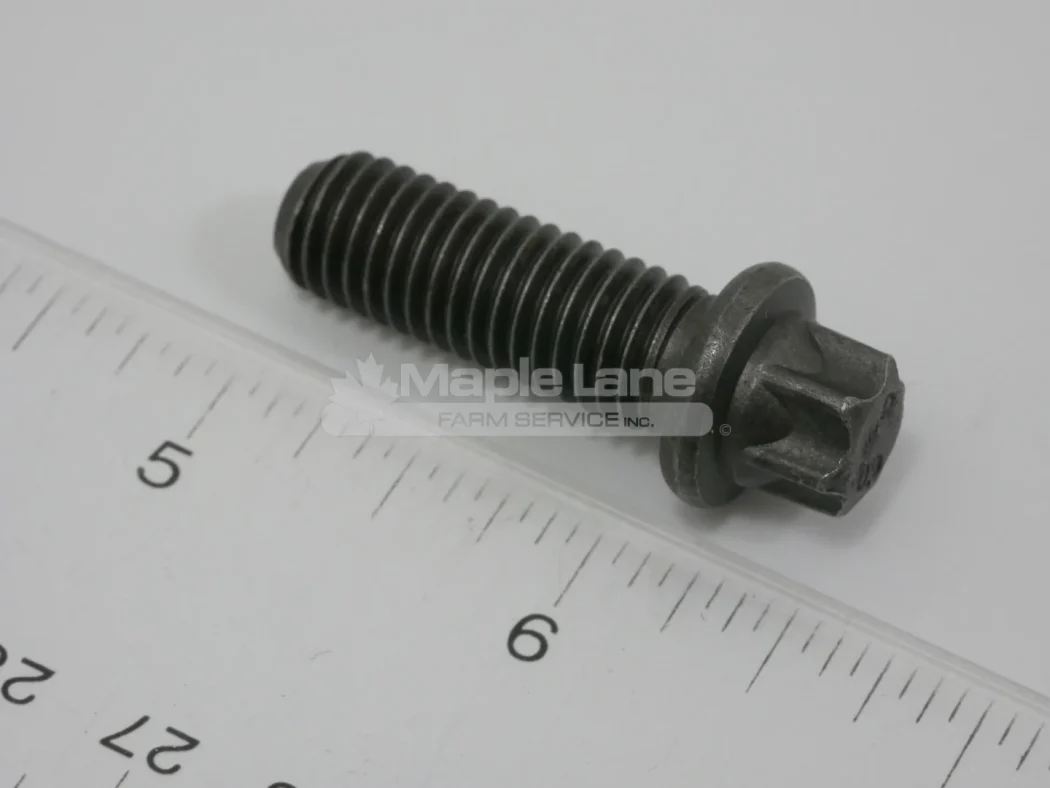 N133205 Torque Head Bolt