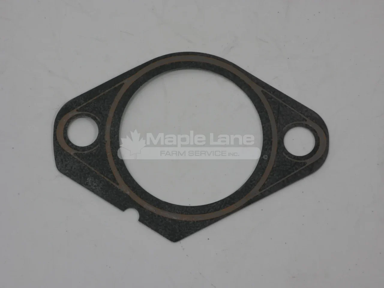 N133420 Gasket