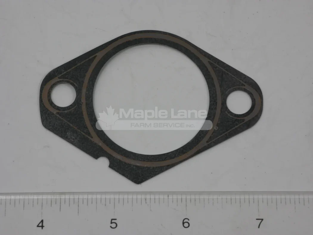 N133420 Gasket