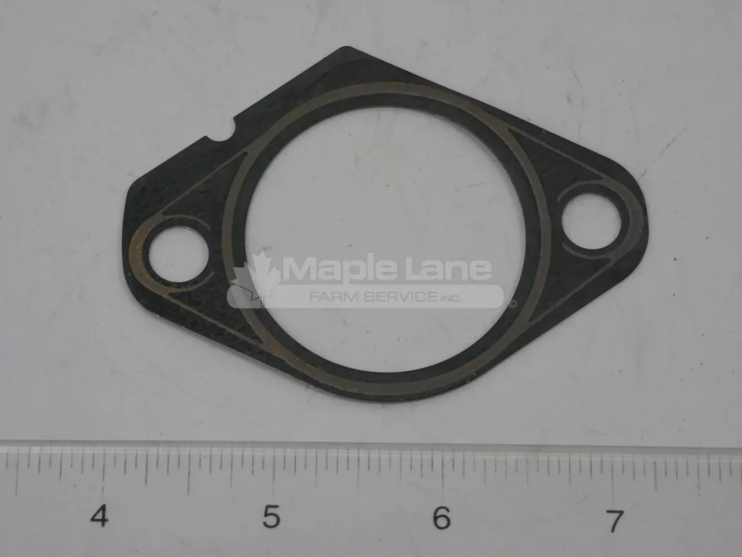 N133423 Gasket