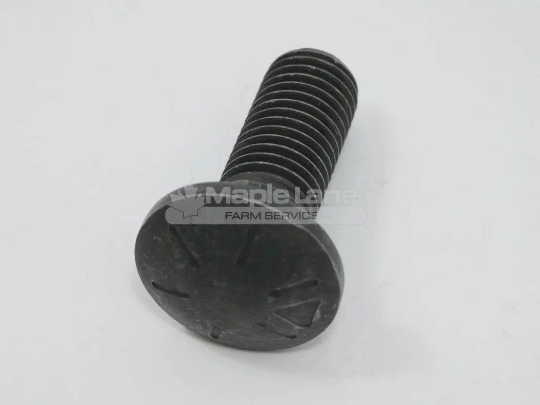 N137072 Carriage Bolt