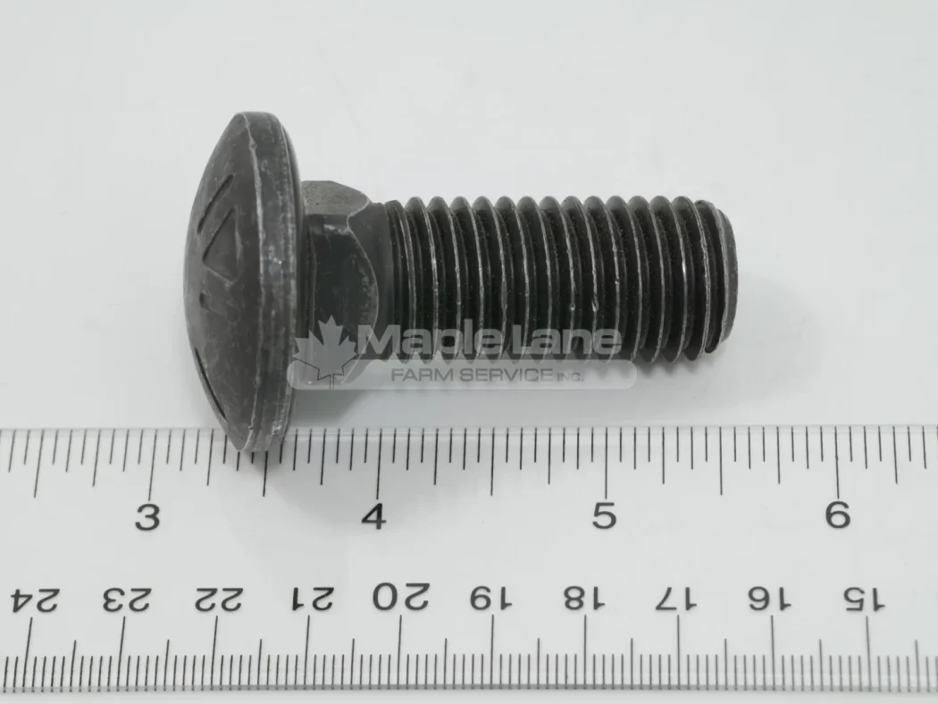 N137072 Carriage Bolt