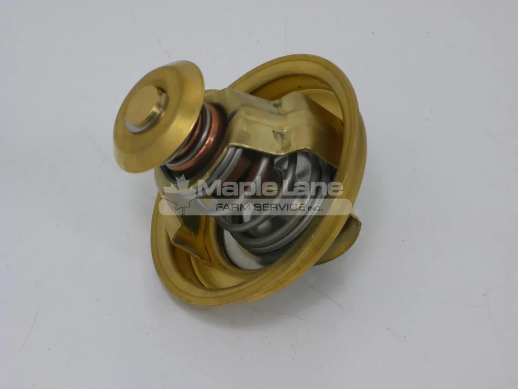 N138078 Thermostat