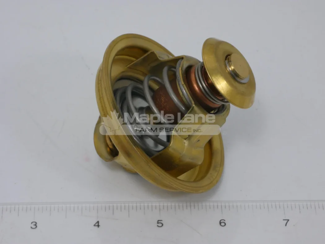 N138078 Thermostat