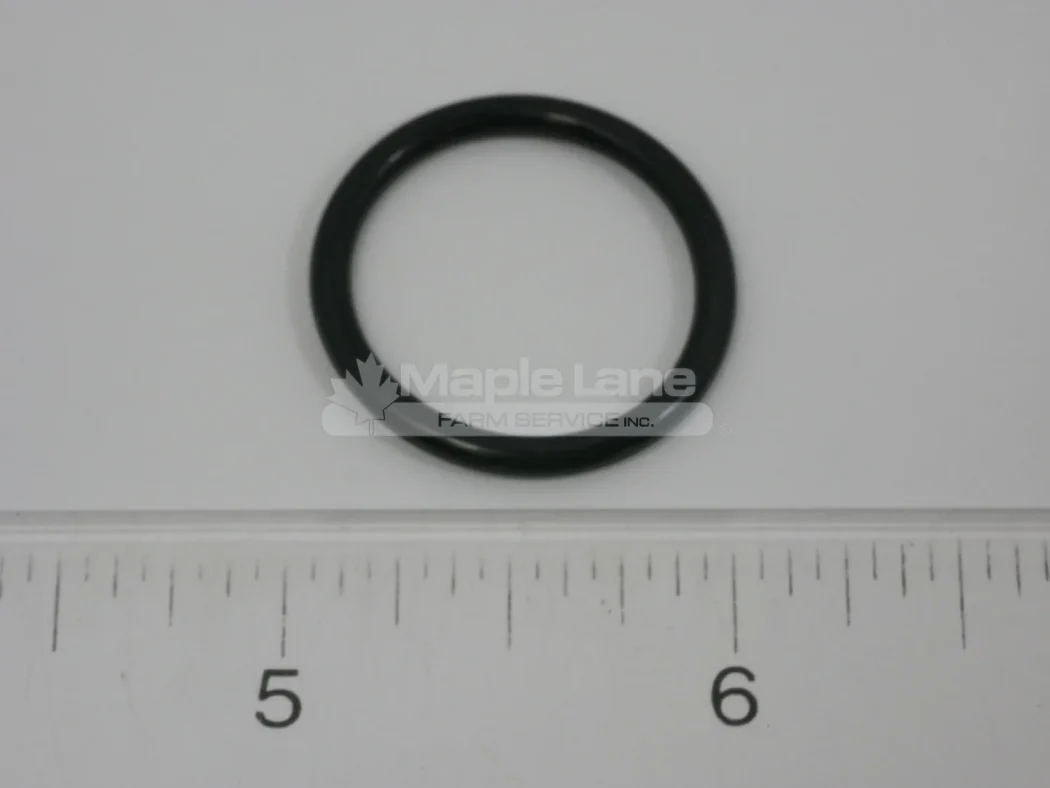 N138100 O-Ring