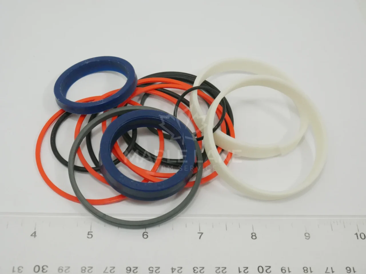 N165570 Gehl Seal Kit