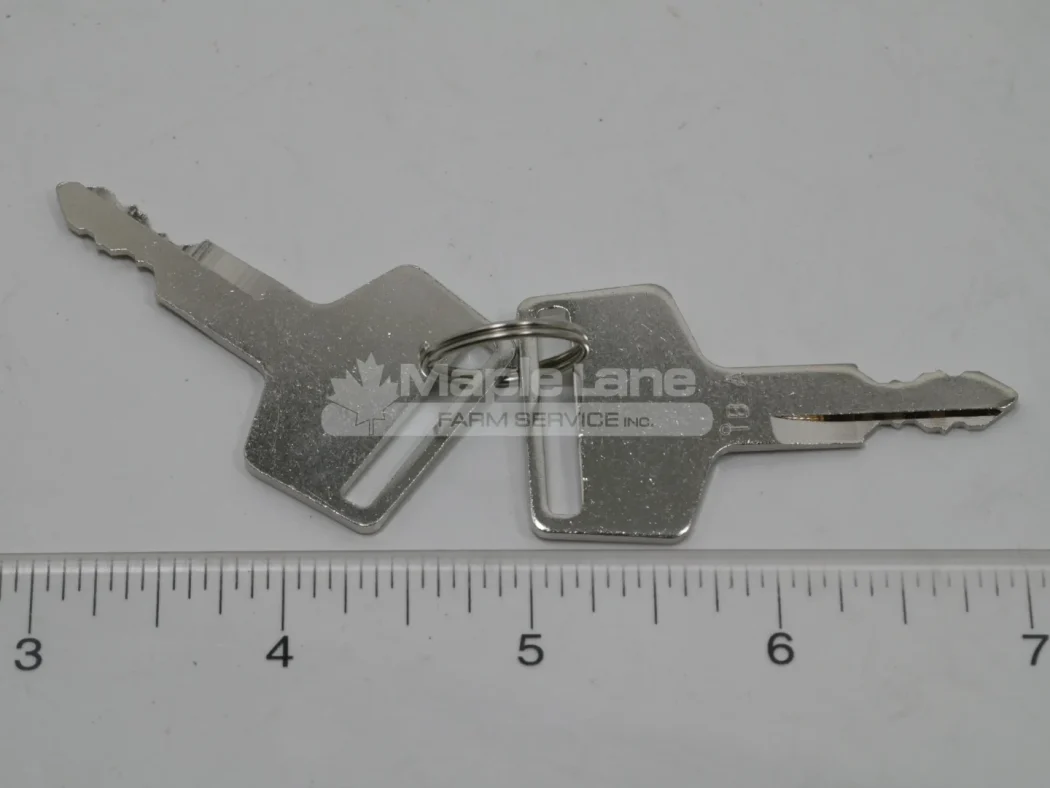 N180486 Two Keys