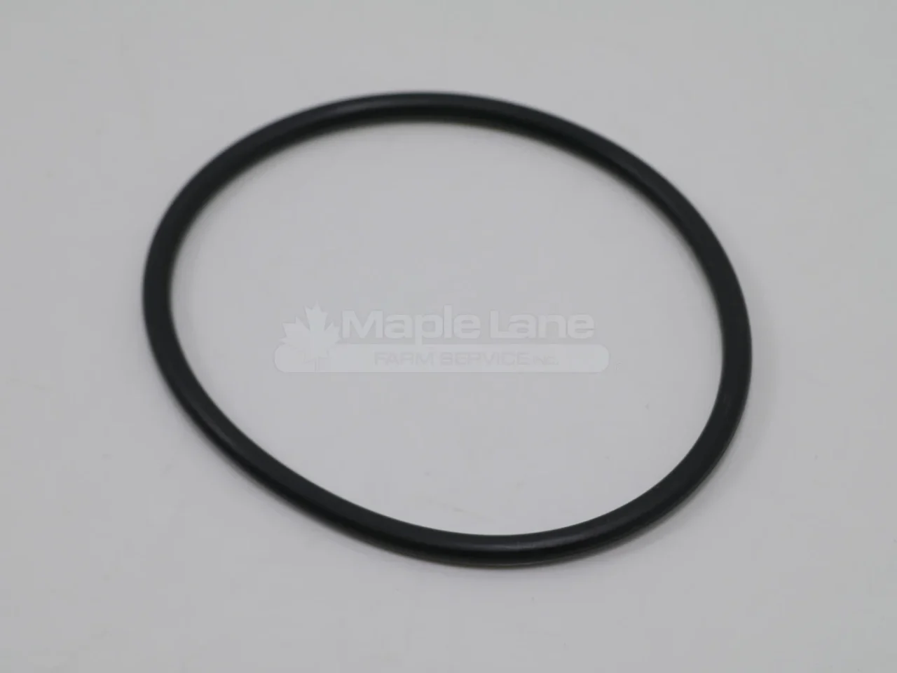 N191651 O-Ring