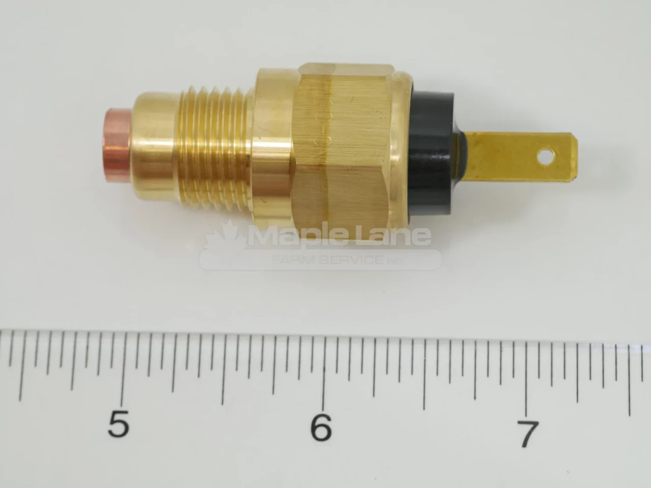 N197459 Thermometer Switch