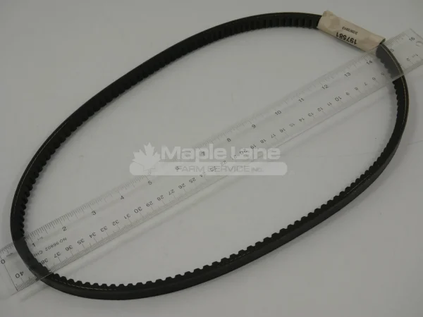 N197581 V-Belt