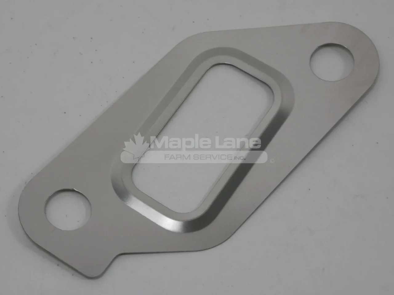 197629 Inner EGR Gasket