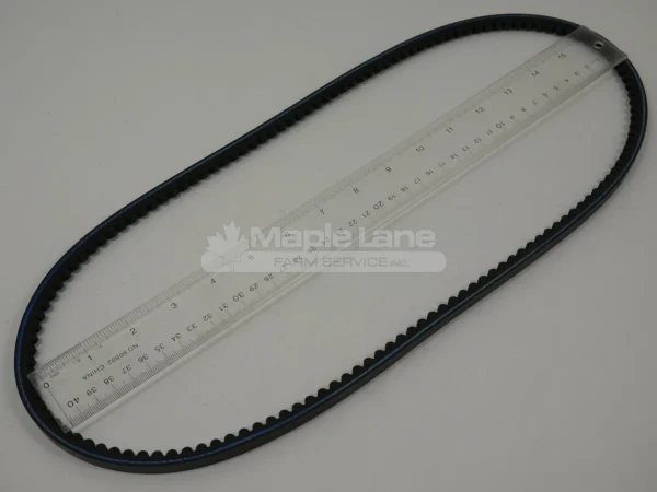 N198328 Belt