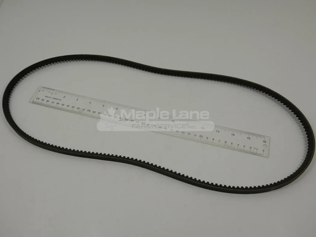 N208819 Belt