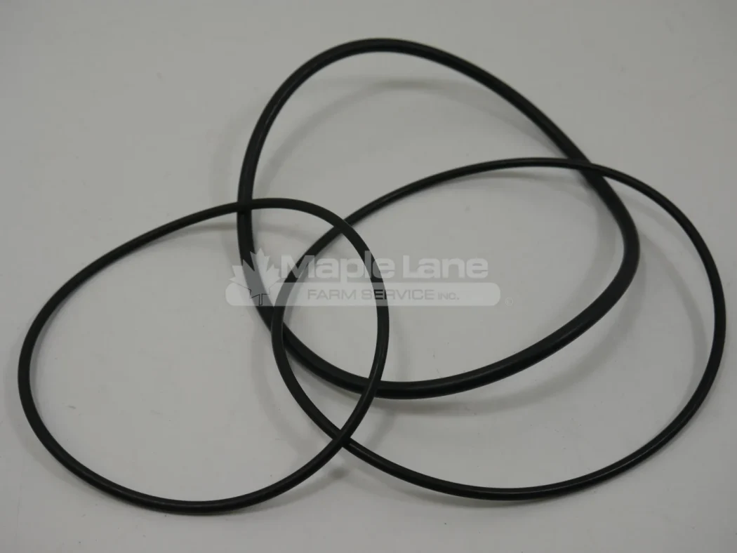 N242462 Filter Head O-Ring