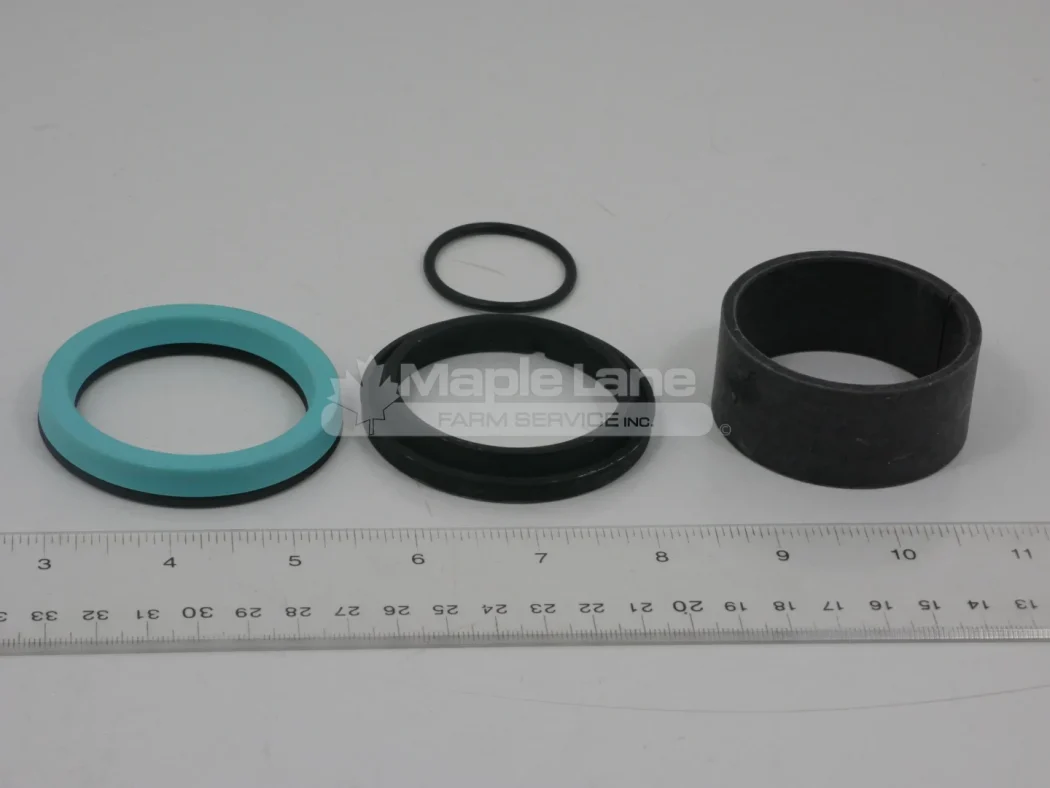 N270667 Seal Kit