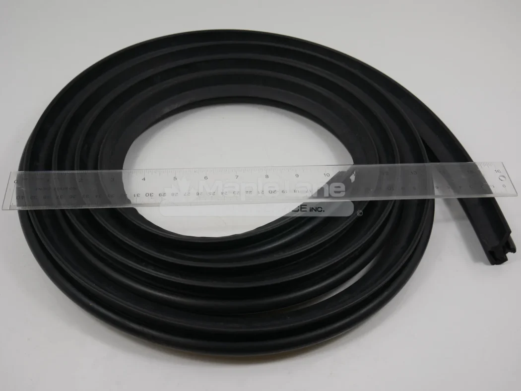 N273332 Window Seal