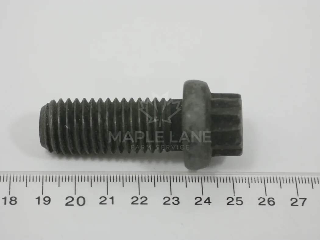 3010891X1 screw
