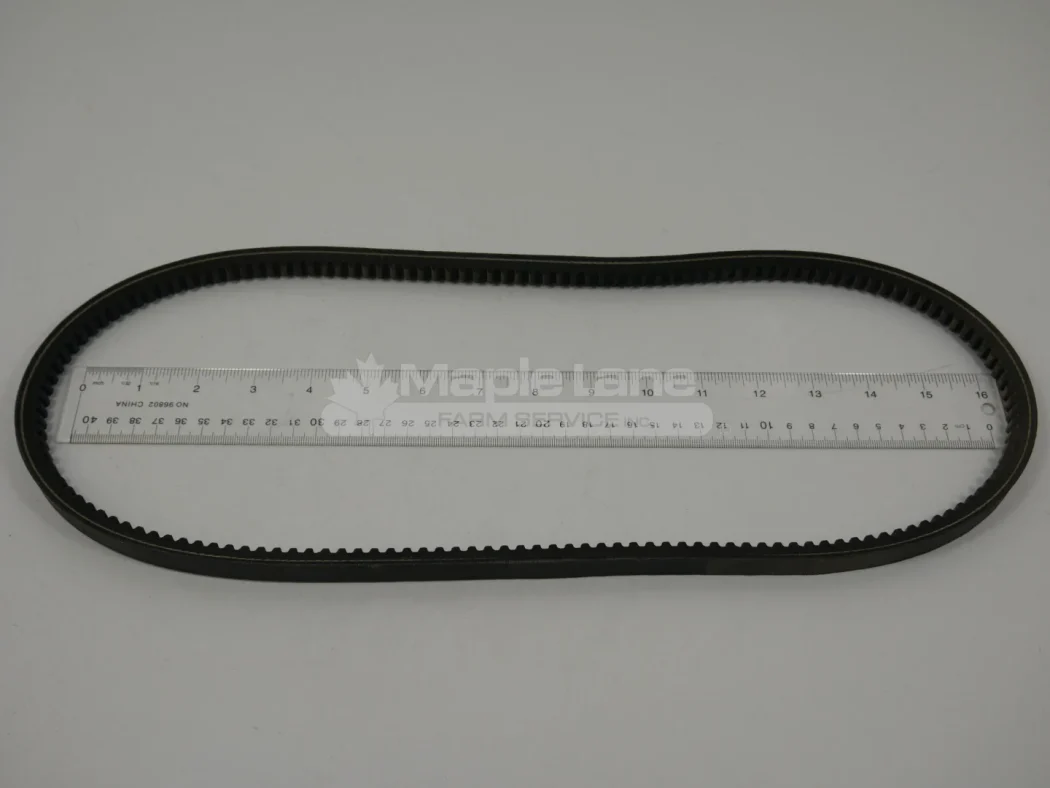 244237BIS Belt