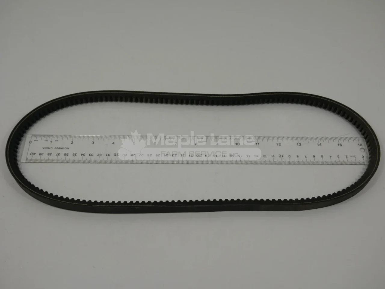 244237BIS Belt