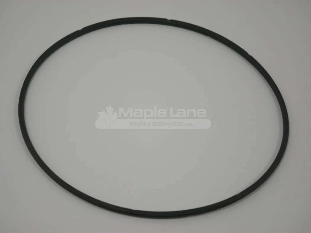 895855 Anti-Extrusion Seal