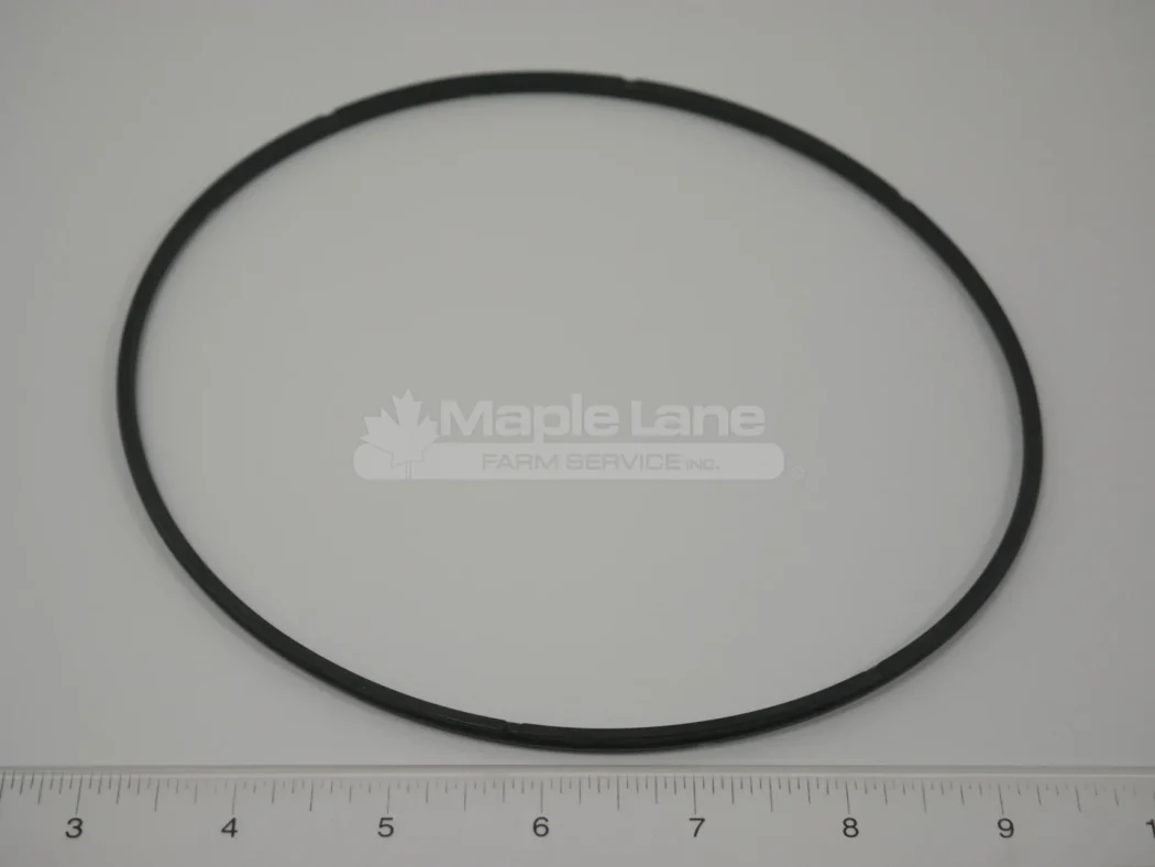 895855 Anti-Extrusion Seal