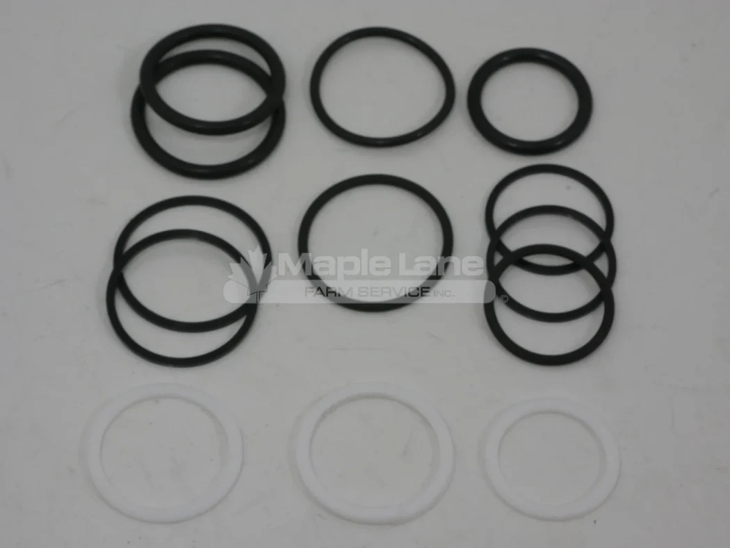 L96838 Counterbalance Seal Kit