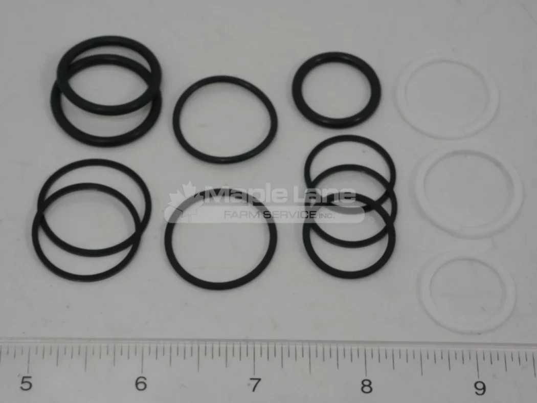 L96838 Counterbalance Seal Kit