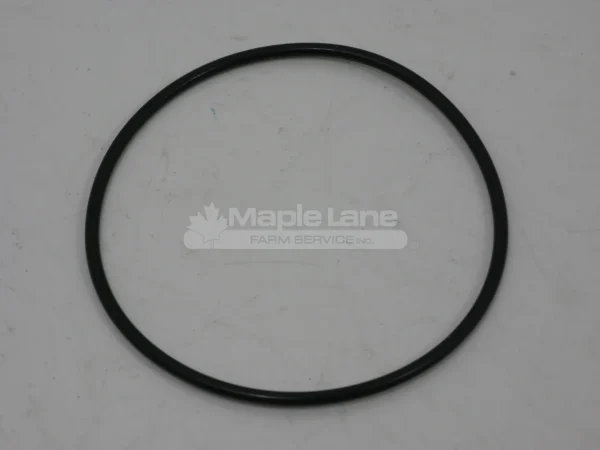 N105252 Thermostat Cover O-Ring