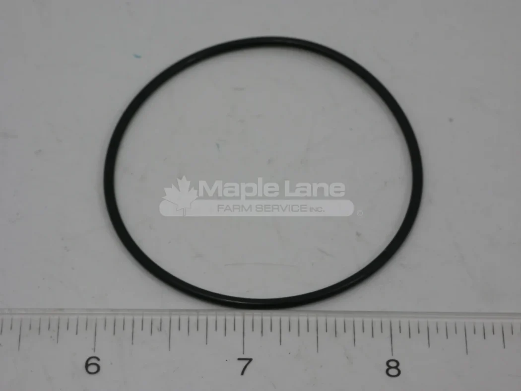 N105252 Thermostat Cover O-Ring