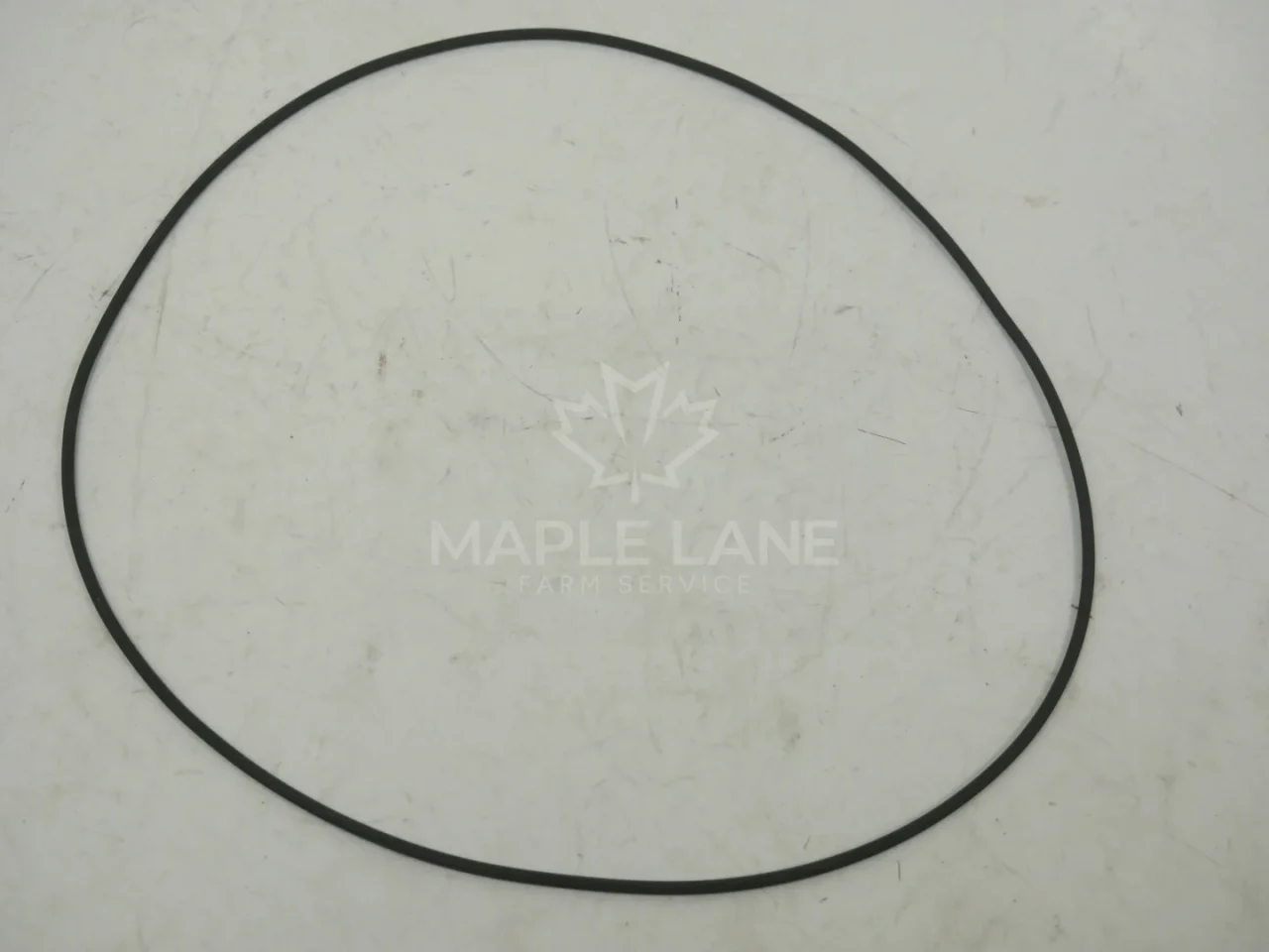 107189 O-ring
